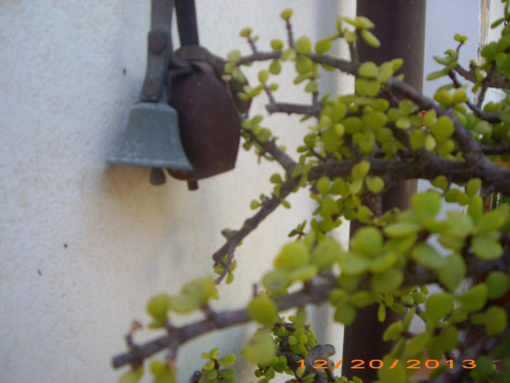 La Bianca Scogliera Bed & Breakfast Realmonte Exterior photo
