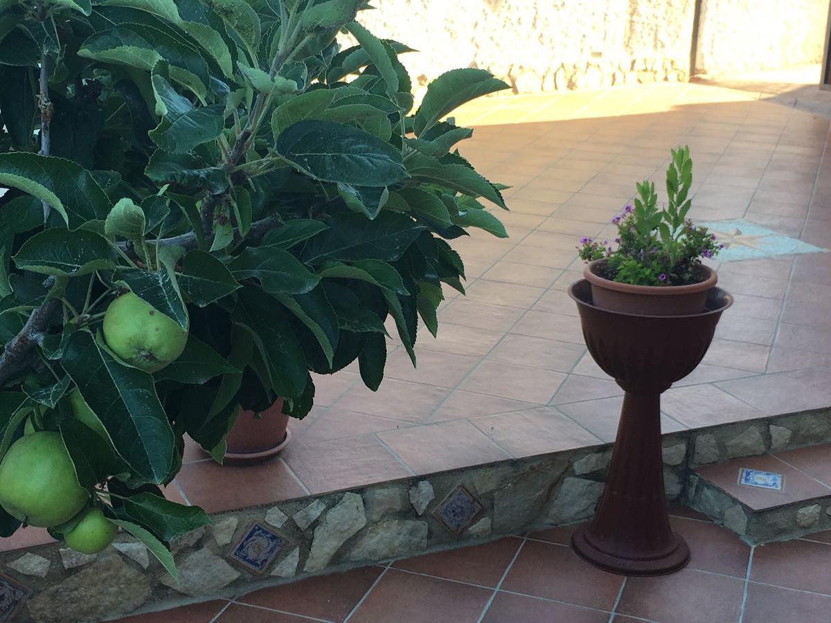 La Bianca Scogliera Bed & Breakfast Realmonte Exterior photo